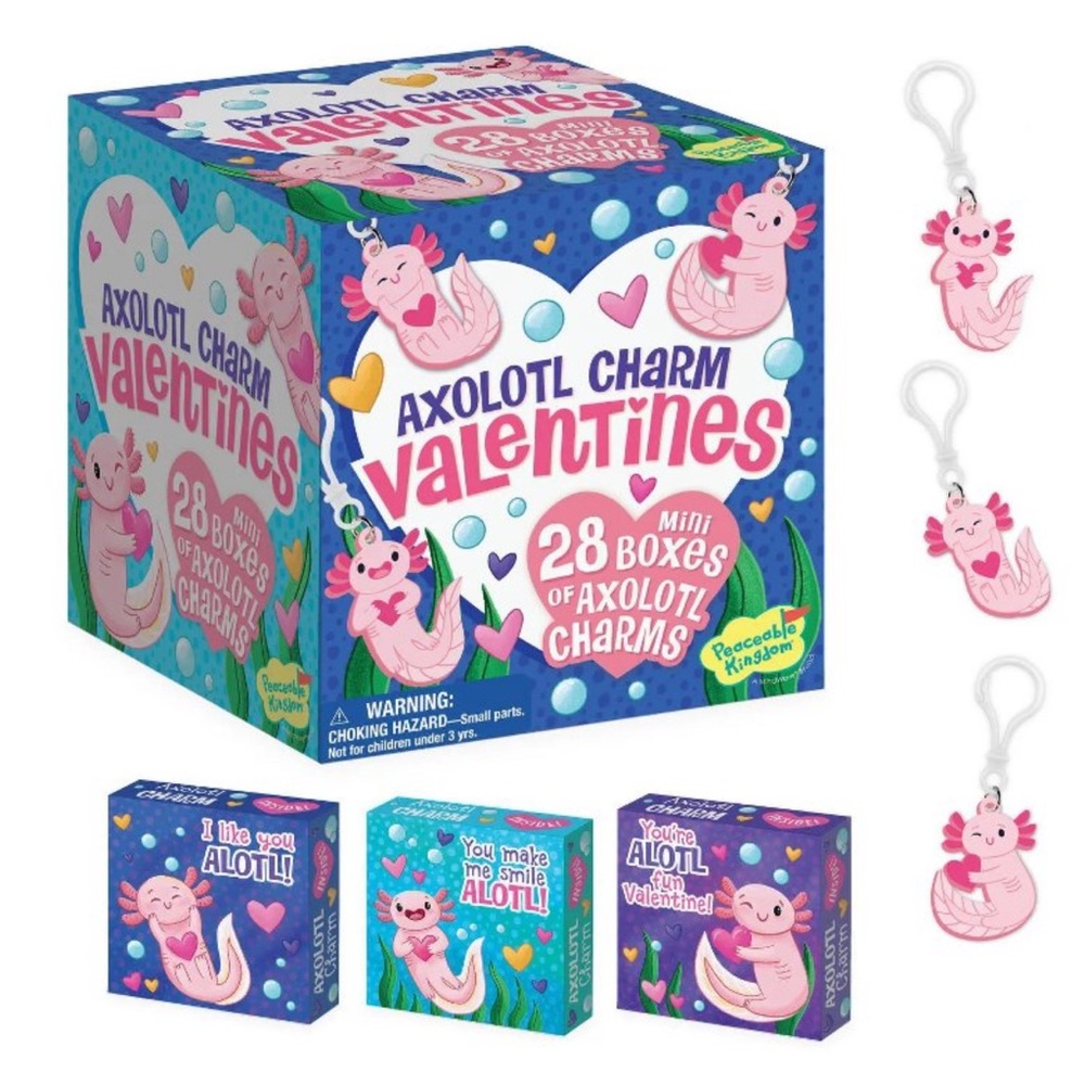 NEW in BOX Axolotl Charm Valentines x 28 Mini Boxes of Axolotl Charms